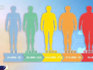 国家版最新减肥指南