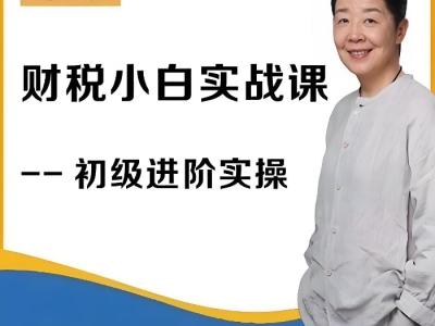 会计实操 财税小白实战课 财务 会计实操课【】
